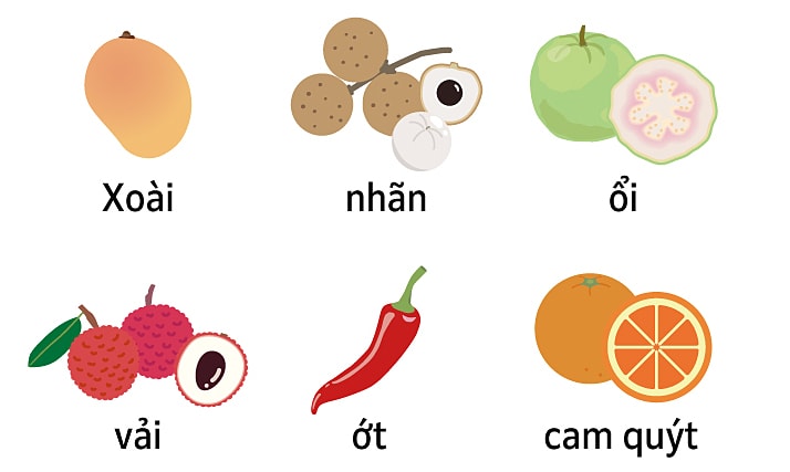 Du khách bị cấm mang gì khi nhập cảnh Nhật Bản?