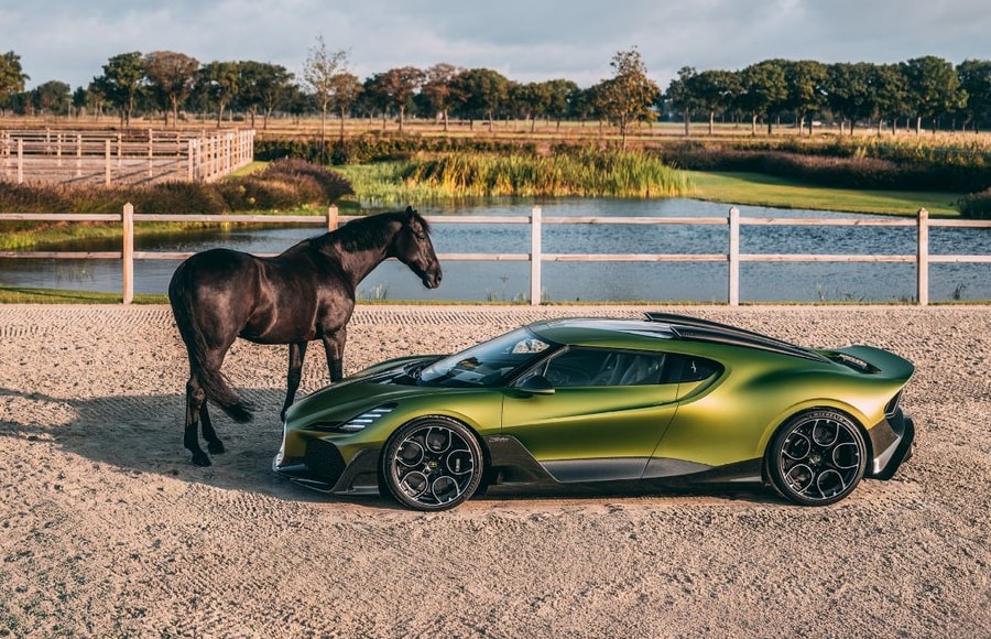 Những mẫu xe lấy cảm hứng từ loài ngựa