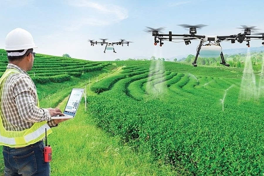 Nhiều vị trí ngành nông nghiệp lương trăm triệu đồng mỗi tháng