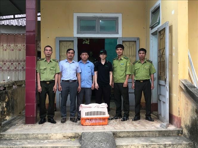 Quảng Trị bàn giao cá thể rái cá quý hiếm cho Vườn quốc gia Cúc Phương