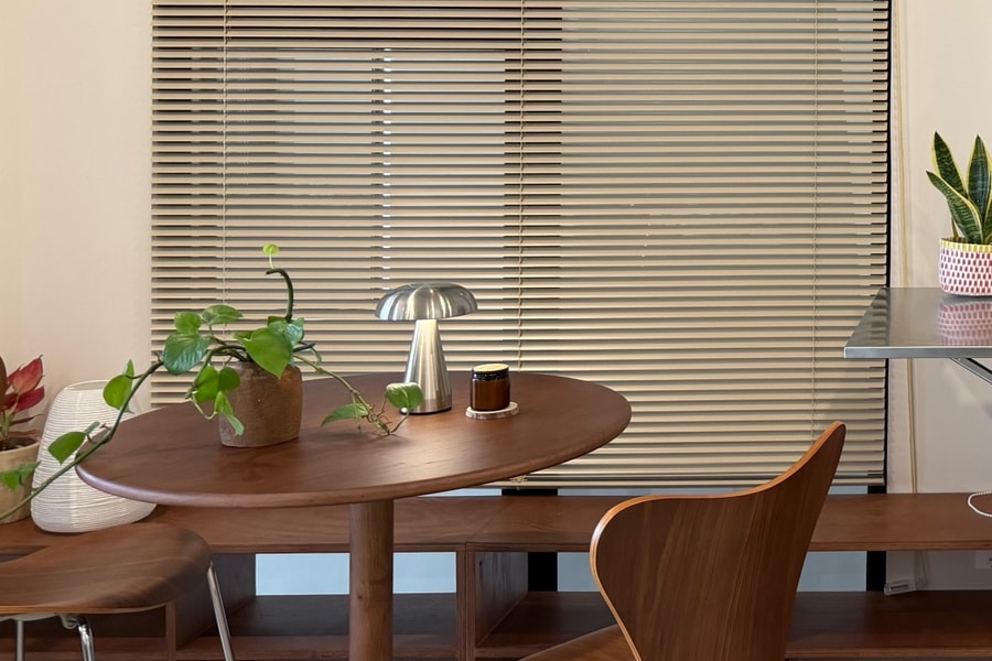 5 loại cây giúp hút ẩm và giảm mùi trong nhà mùa nồm