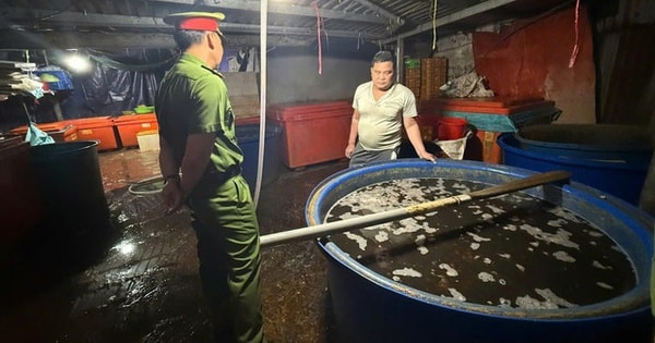 Thực phẩm bẩn và nỗi lo "vị đắng" trên mâm cỗ Tết