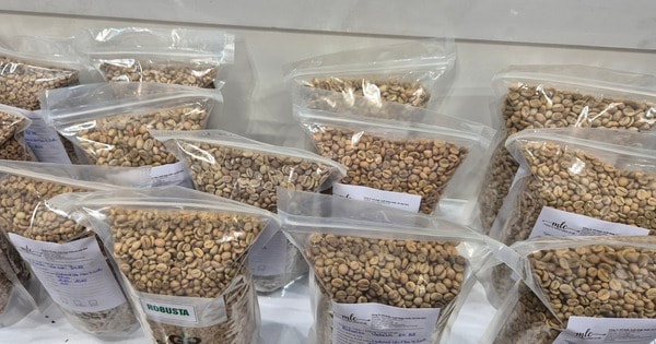 Giá cà phê hôm nay 27-2: Đi lùi, thị trường sắp cân bằng?