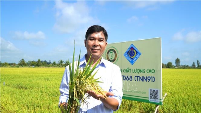 Nông dân đón nhận giống lúa mới với nhiều ưu điểm vượt trội