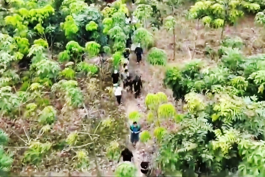 Cảnh sát dùng flycam theo dõi sòng bạc trong rừng ở TP HCM