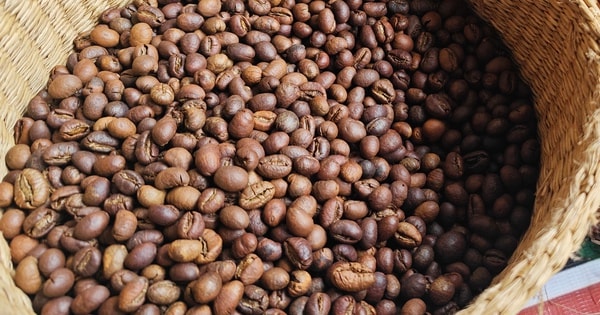 Giá cà phê hôm nay 1-3: Giữ giá tốt, là nhà cung cấp số 2 cho Hàn Quốc