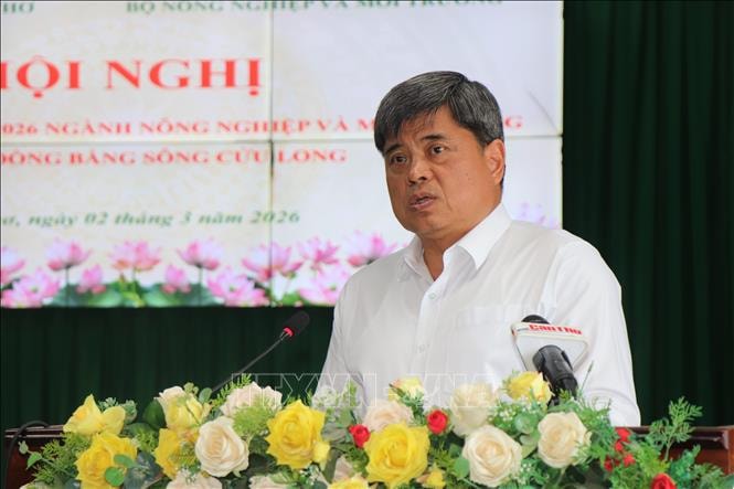 ĐBSCL giữ vững vai trò 'vựa lúa' trước thách thức hạn hán, xâm nhập mặn