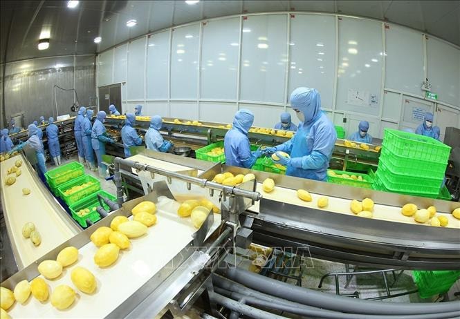 Khuyến cáo với các doanh nghiệp hợp tác kinh doanh tại Trung Đông