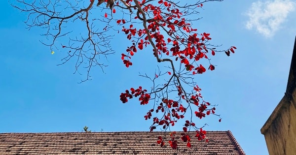 Hình ảnh Côn Đảo vào "mùa đẹp nhất năm"