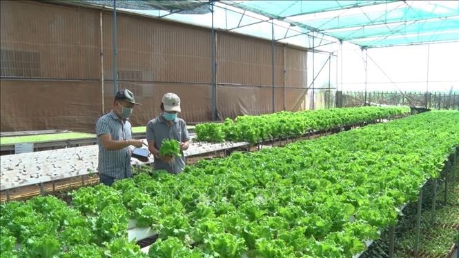 Quy định về thủ tục thi hành quyết định tuyên bố doanh nghiệp, HTX phá sản