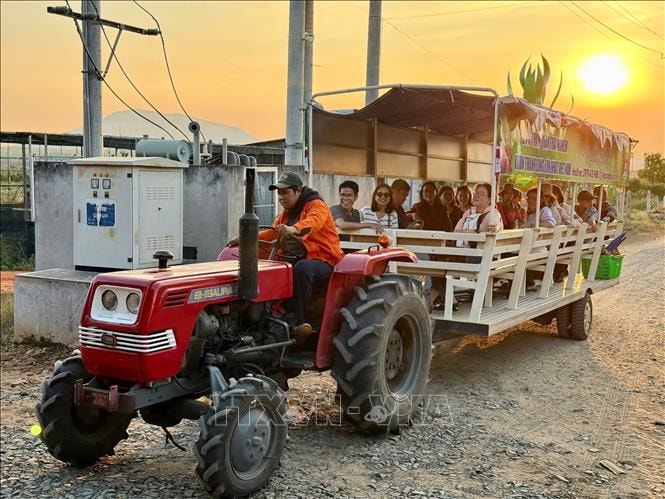 Lâm Đồng phát triển nhiều tour du lịch bằng đường bộ