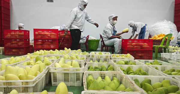 Linh hoạt, bình tĩnh ứng phó