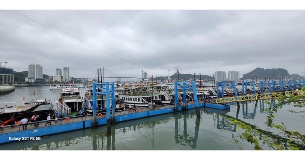 Sau sự cố cháy tàu, Quảng Ninh yêu cầu rà soát toàn bộ điều kiện an toàn tàu du lịch