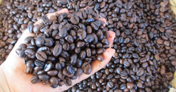 Giá cà phê hôm nay 6-3: Tăng tiếp, giá cà phê xuất khẩu vẫn hơn 4.000 USD/tấn