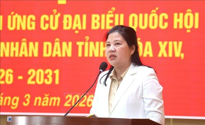 Cử tri vùng biên giới biển Quảng Ngãi tin tưởng, kỳ vọng vào người ứng cử đại biểu Quốc hội