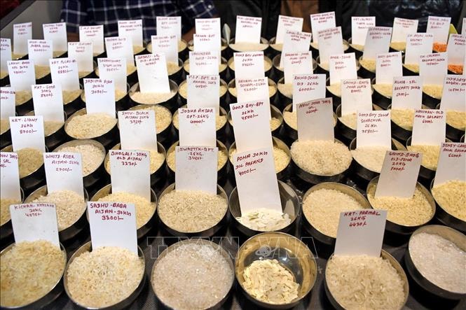 Giá gạo Ấn Độ, Thái Lan giảm do biến động chi phí vận tải