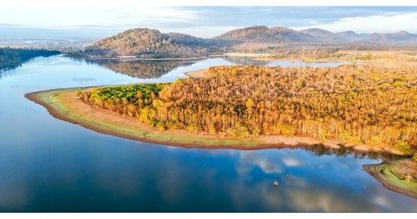 Đẹp ngỡ ngàng rừng khộp mùa thay lá