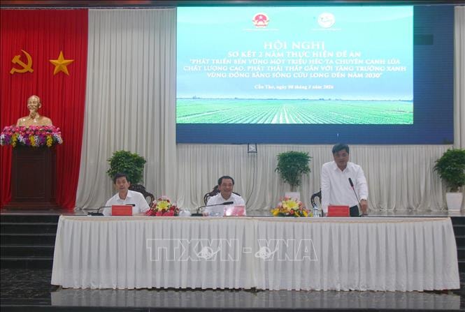 Đưa sản xuất lúa gạo theo hướng xanh, sạch, chất lượng bền vững