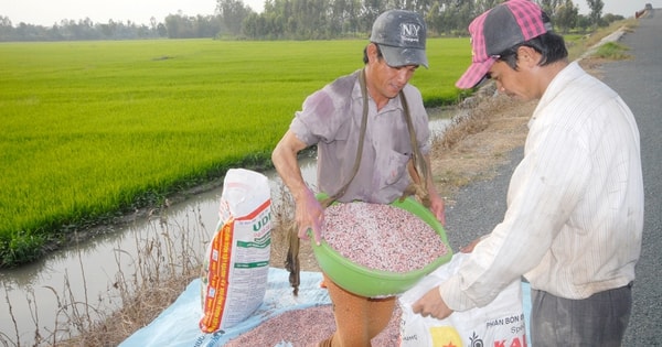 Xung đột Trung Đông khiến giá phân bón tăng mạnh, có tác động tới Việt Nam?