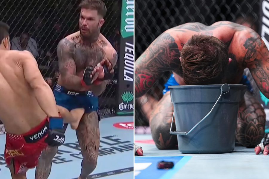 Võ sĩ UFC nôn trong lồng bát giác