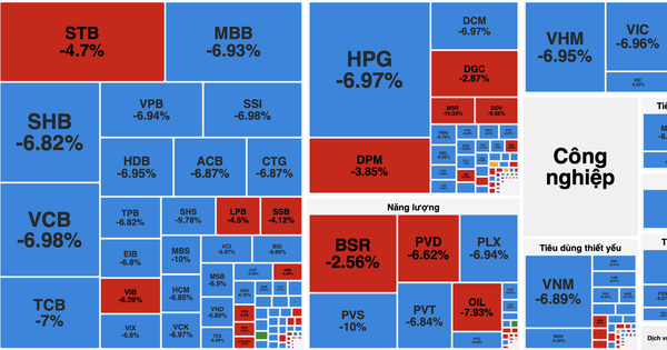 VN-Index giảm hơn 115 điểm, lập kỷ lục giảm sâu trong một phiên