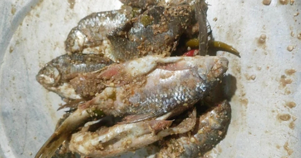 3 cháu bé nguy kịch sau khi ăn món cá chế biến kiểu “lạ”, bác sĩ cảnh báo đừng chủ quan