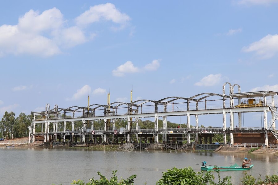 Xâm nhập mặn có xu thế giảm dần và tăng lại vào cuối tuần