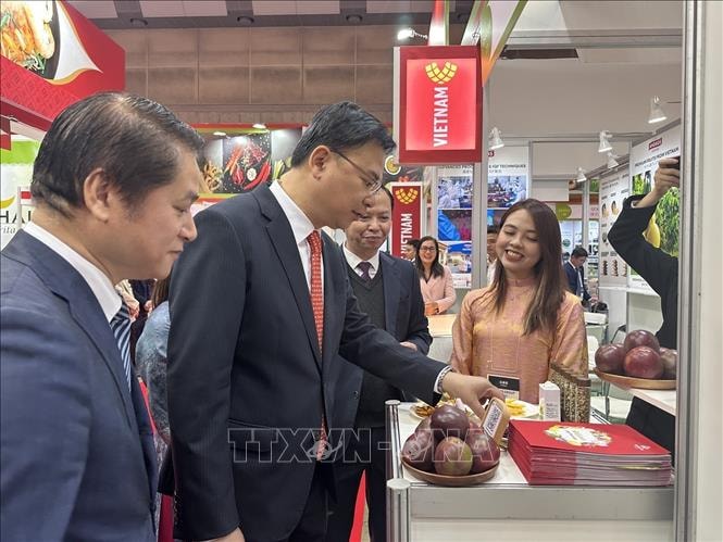 Doanh nghiệp nông sản Việt Nam khẳng định vị thế tại Foodex Japan 2026