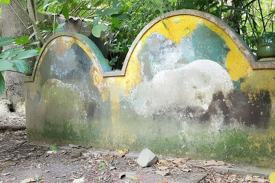 Chùa nào nổi tiếng với mộ heo 5 móng?