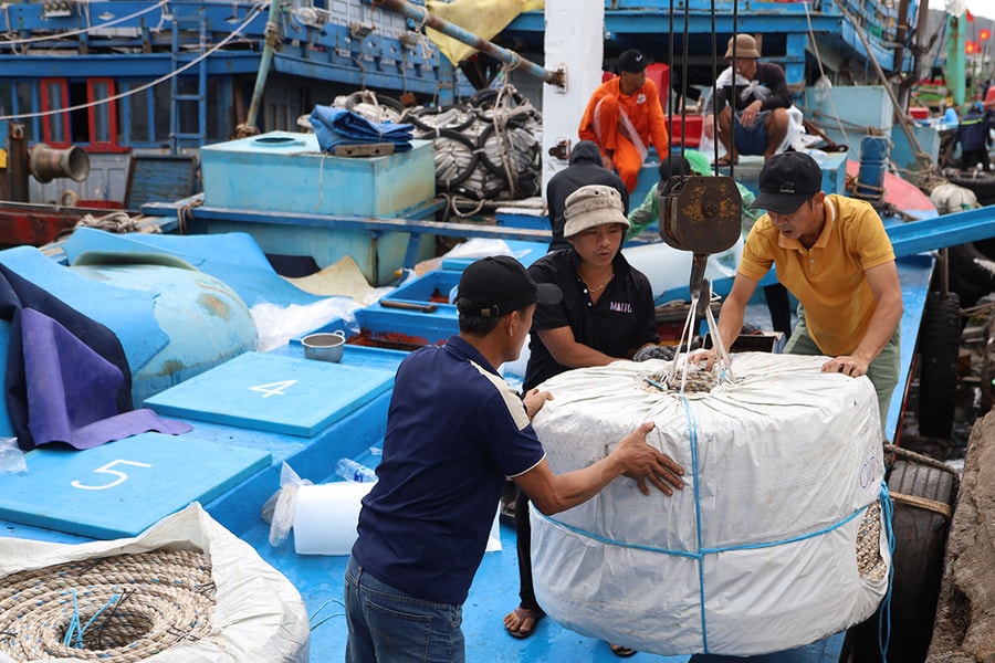 Chủ tàu cá nguy cơ lỗ nặng vì chi phí dầu tăng mạnh