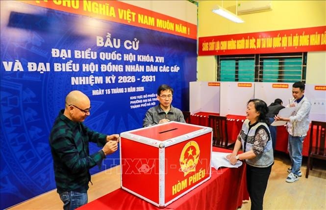 Ngày 15/3/2026 - Ngày hội non sông