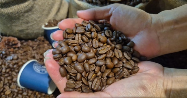 Giá cà phê hôm nay 12-3: Bốc hơi 3 con số bất chấp Brazil xuất khẩu giảm gần 23%