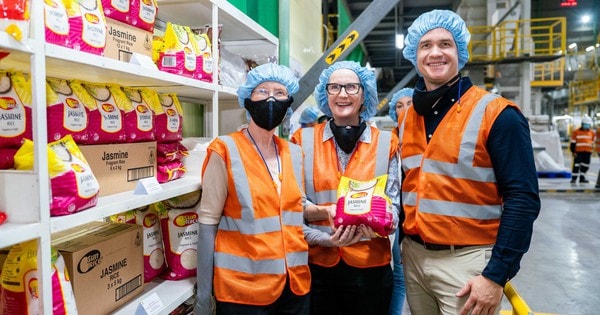 Trường đại học Úc "bắt tay" doanh nghiệp để nâng tầm hạt gạo Việt