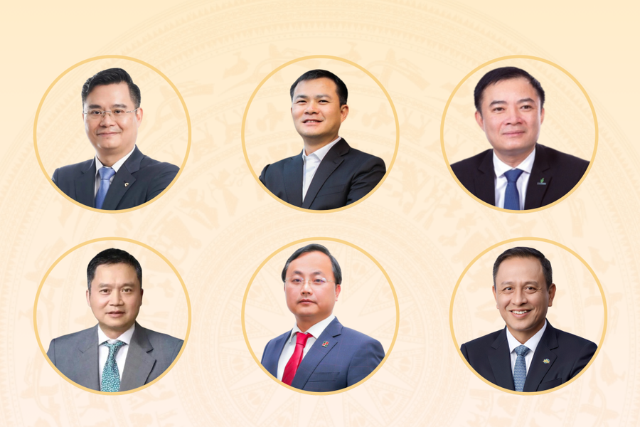 Những lãnh đạo doanh nghiệp ứng cử đại biểu Quốc hội