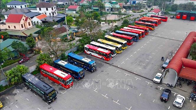 Doanh nghiệp vận tải điều chỉnh hoạt động để giữ giá cước