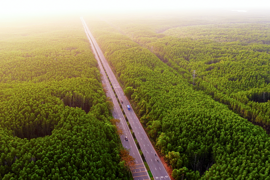 Yếu tố giúp Cần Giờ thành cực tăng trưởng du lịch mới