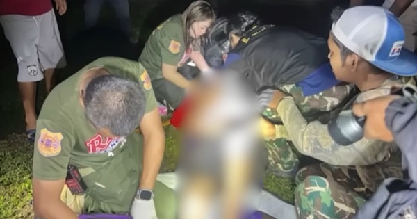 Ra sau nhà đi vệ sinh, người đàn ông bị thứ đáng sợ giẫm tử vong