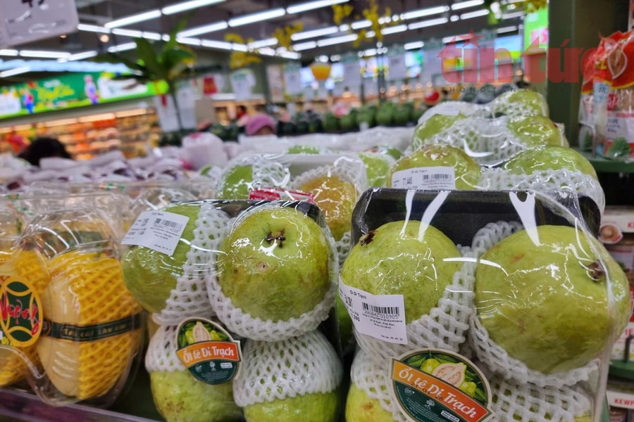 Mã số mã vạch - Giám sát hàng hóa lưu thông