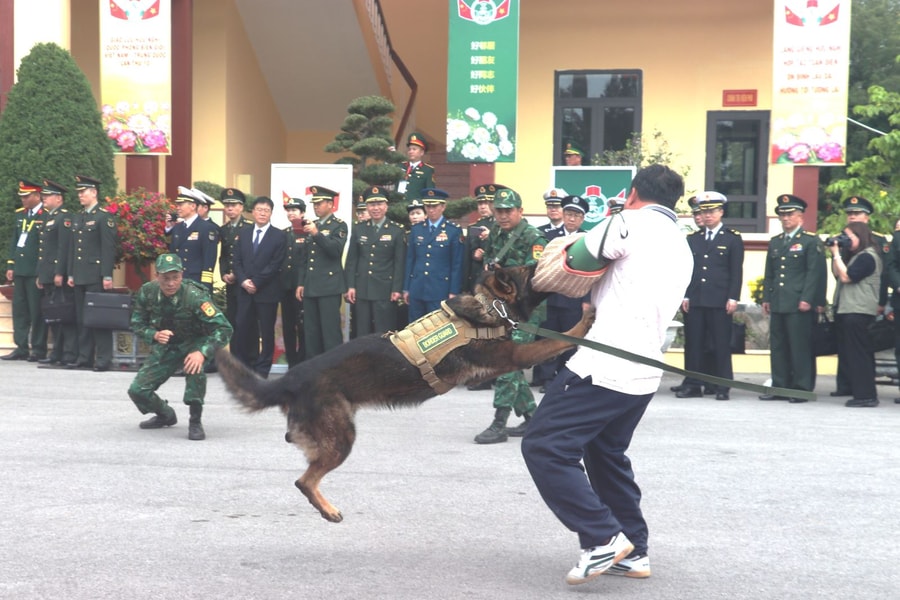 Đoàn đại biểu cấp cao Bộ Quốc phòng hai nước tham quan Biên phòng sử dụng chó nghiệp vụ đánh bắt tội phạm ma túy