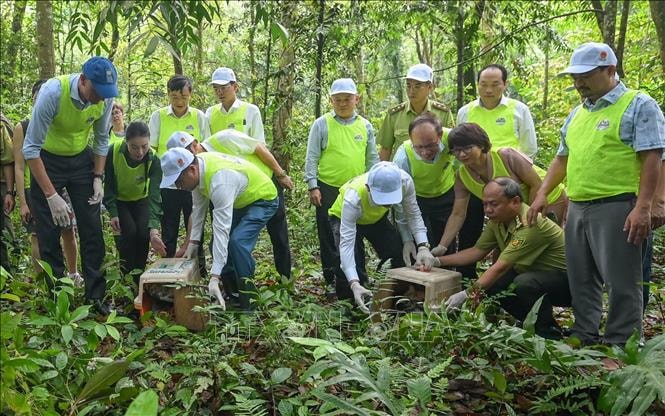 Ngày Quốc tế về Rừng 2026: Khai mở động lực kinh tế địa phương từ rừng