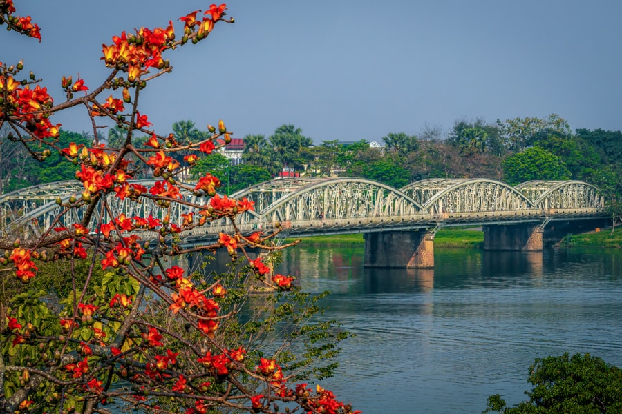 Hoa gạo nở đỏ rực khắp Kinh thành Huế