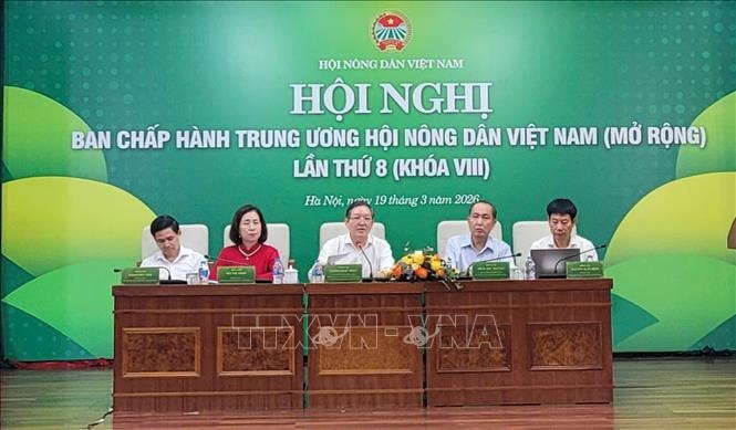 Xây dựng Hội Nông dân đáp ứng cầu đổi mới tổ chức, hoạt động trong bối cảnh tinh gọn hệ thống