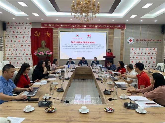 Huy động nguồn lực quốc tế hỗ trợ người dân phục hồi sau bão lũ