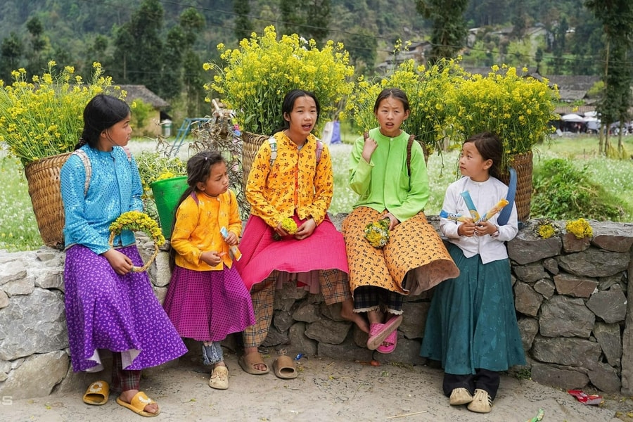 Trẻ nhỏ địu hoa chờ khách chụp ảnh, cho tiền ở Hà Giang