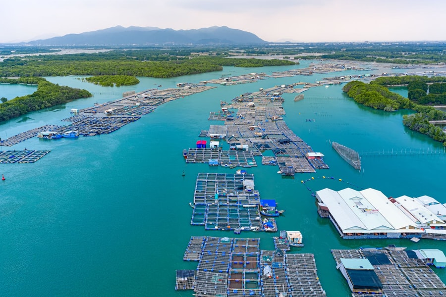 Du lịch TP Hồ Chí Minh chuyển mình nhờ công nghệ số