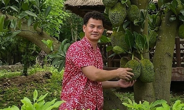 Sở thích làm vườn của nghệ sĩ Xuân Bắc