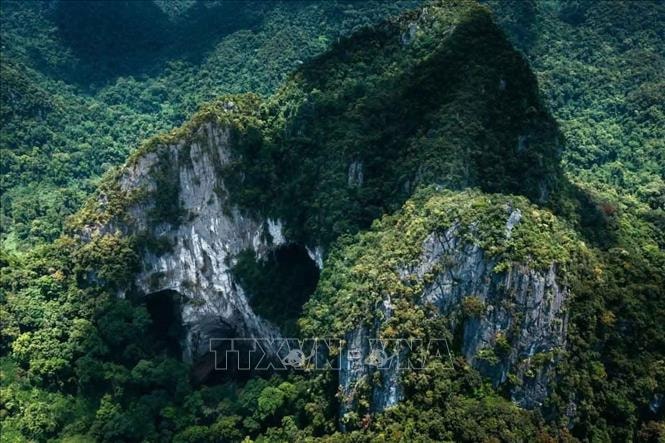 Kho báu sinh học chưa được khám phá giữa đại ngàn Trường Sơn