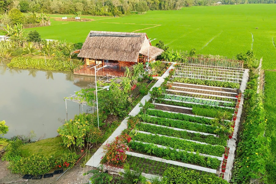 Khu vườn 3.000 m2 như tranh vẽ của cặp vợ chồng An Giang