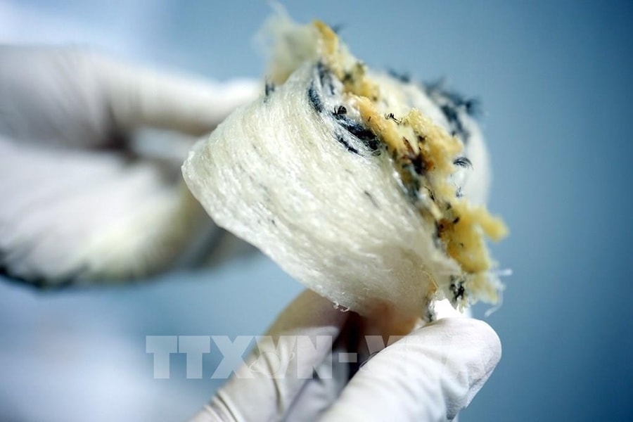 Doanh nghiệp xuất khẩu thực phẩm cần lưu ý quy định đăng ký mới của Trung Quốc