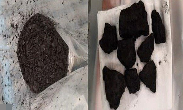 Thủ đoạn 'qua mặt' chó nghiệp vụ của nhiều băng đảng ma túy